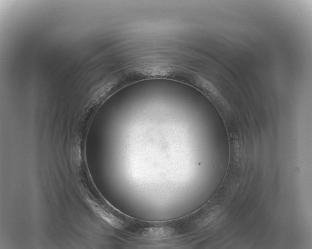 X0000062140541200512121244