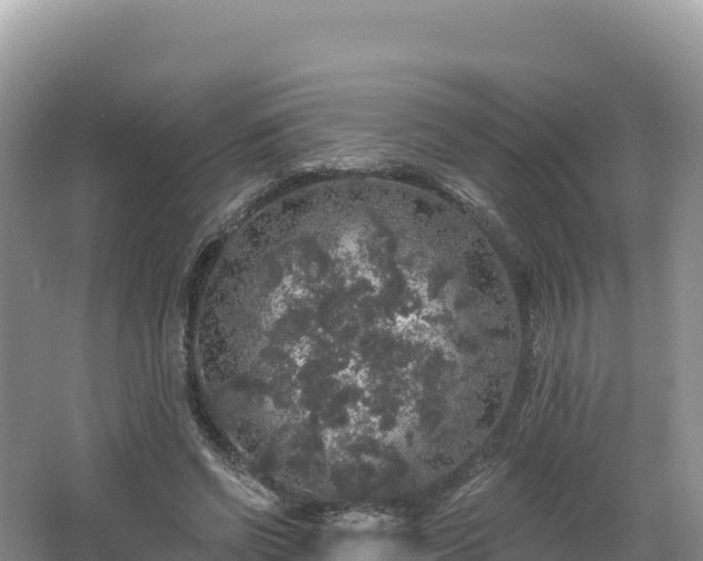 X0000062140542200512121244