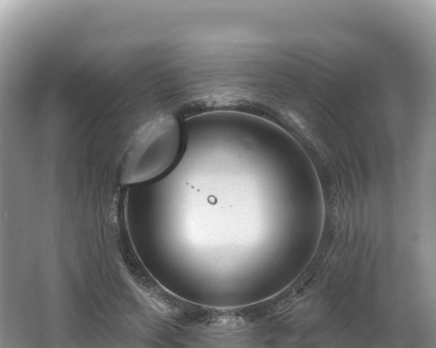 X0000062140543200512121244