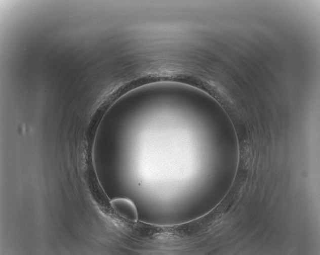 X0000062140544200512121244