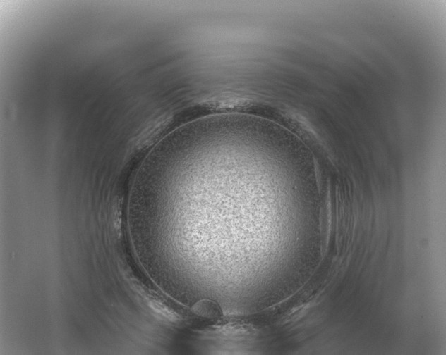 X0000062140545200512121244