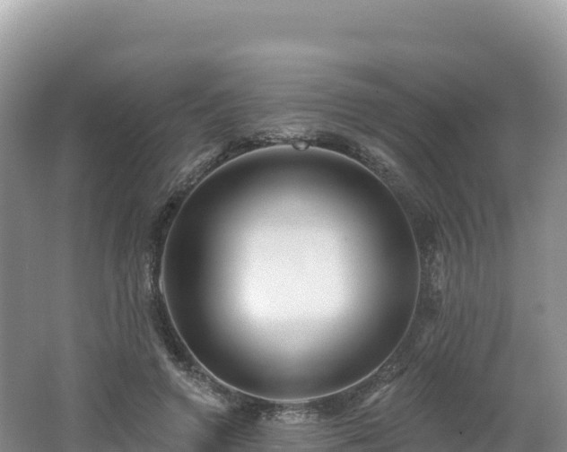 X0000062140546200512121244