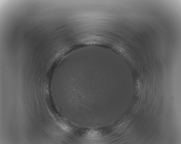 X0000062140547200512121244