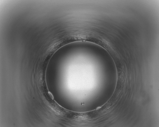 X0000062140548200512121244