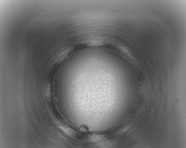 X0000062140549200512121244