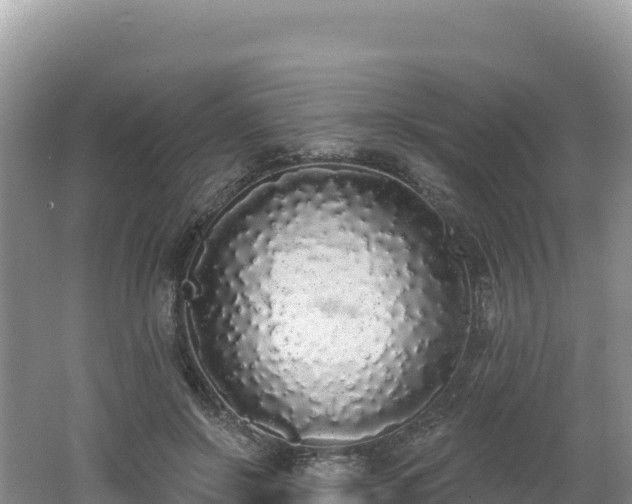 X0000062140550200512121244