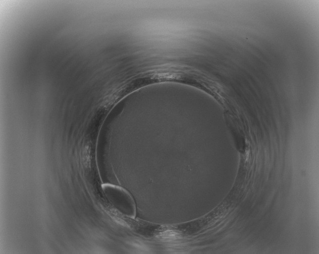 X0000062140551200512121244