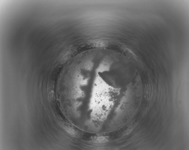 X0000062140553200512121244