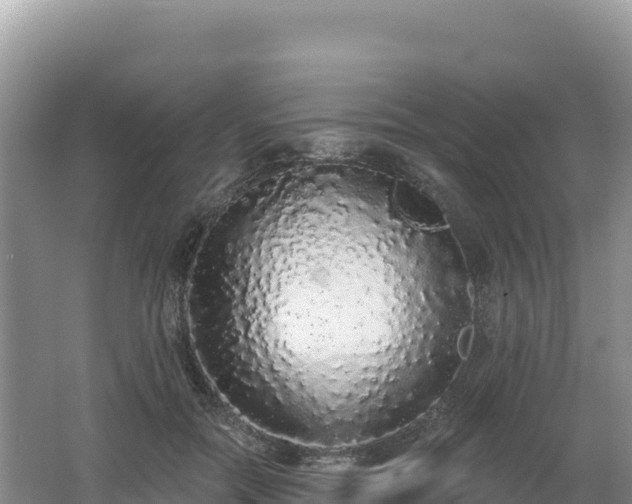 X0000062140554200512121244