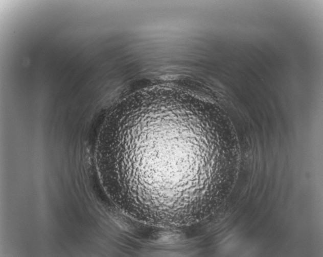 X0000062140555200512121244