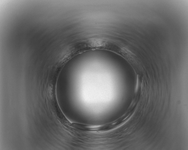 X0000062140556200512121244