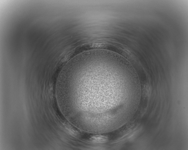 X0000062140557200512121244