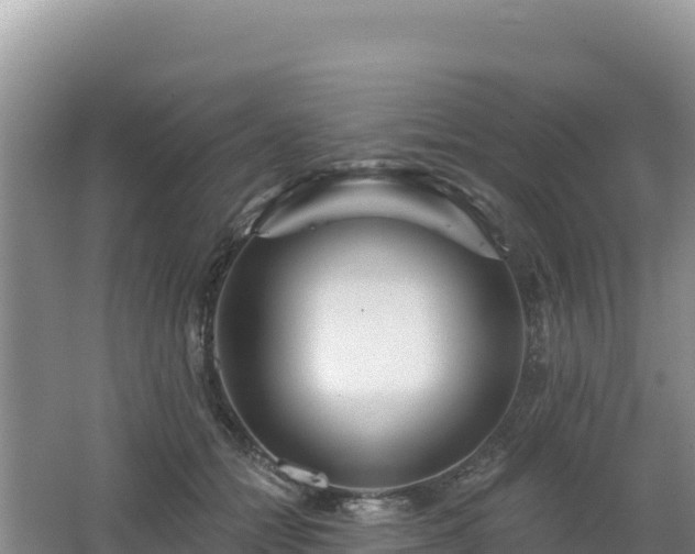 X0000062140558200512121244