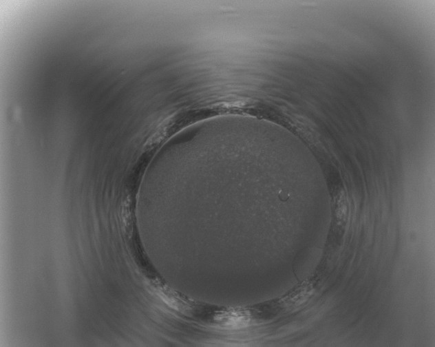 X0000062140559200512121244