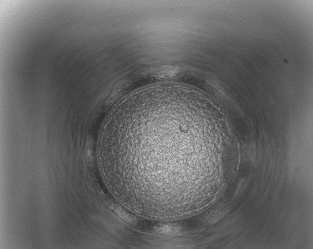 X0000062140561200512121244