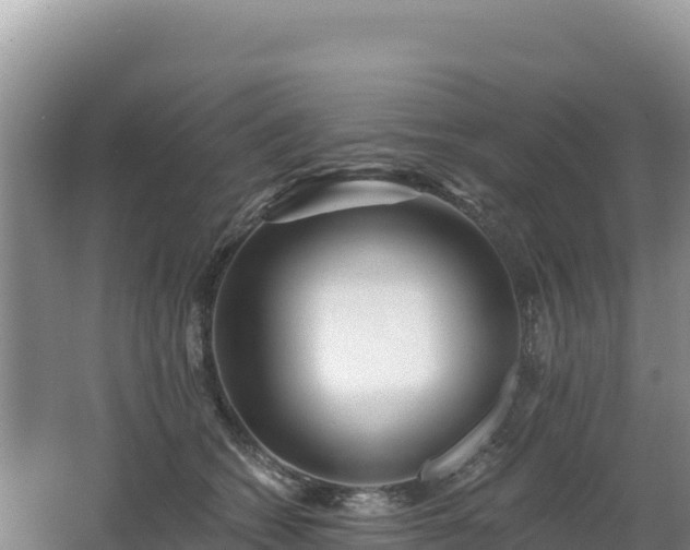 X0000062140562200512121244