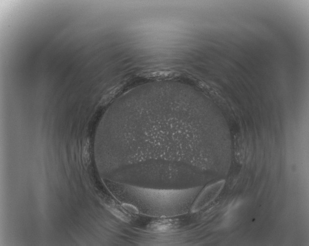 X0000062140563200512121244