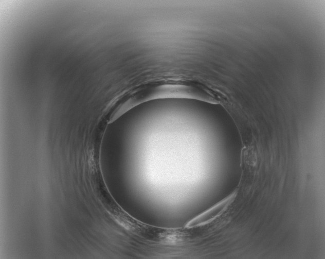 X0000062140564200512121244