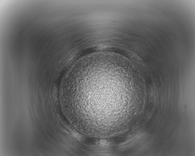 X0000062140565200512121244