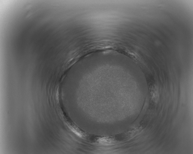 X0000062140568200512121244