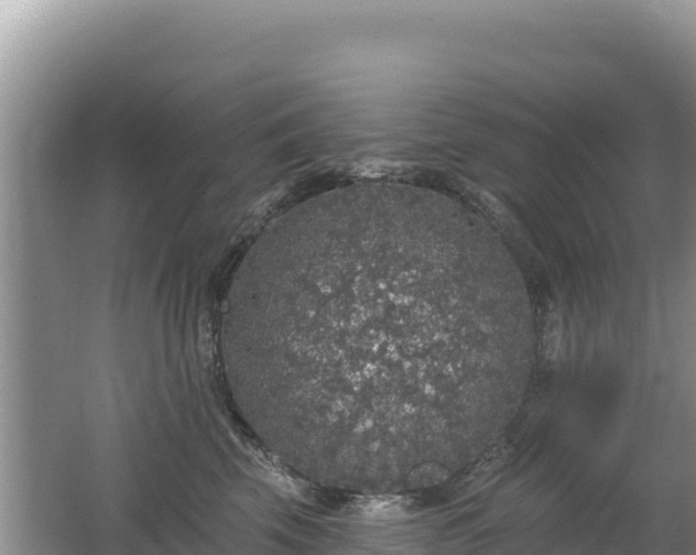 X0000062140569200512121244