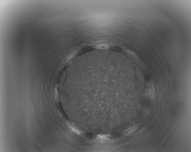 X0000062140573200512121244