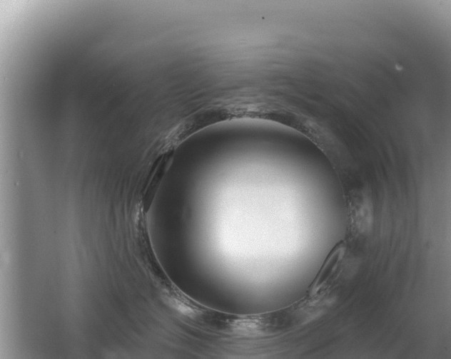 X0000062140574200512121244