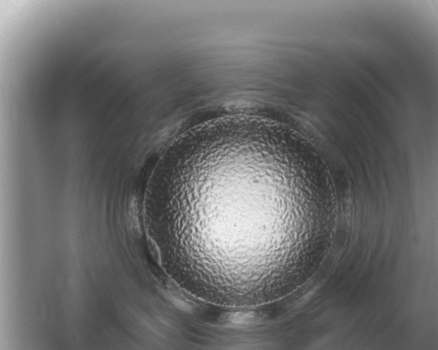 X0000062140575200512121245