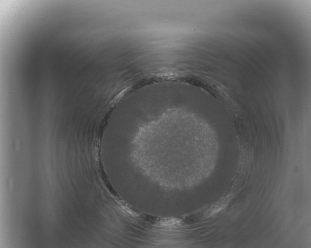 X0000062140576200512121245