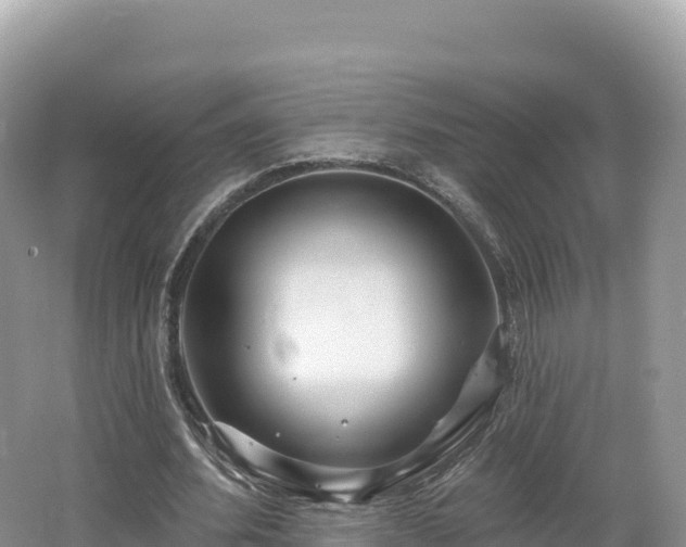 X0000062140580200512121244