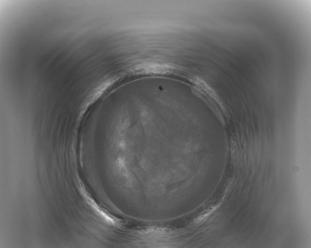 X0000062140581200512121244