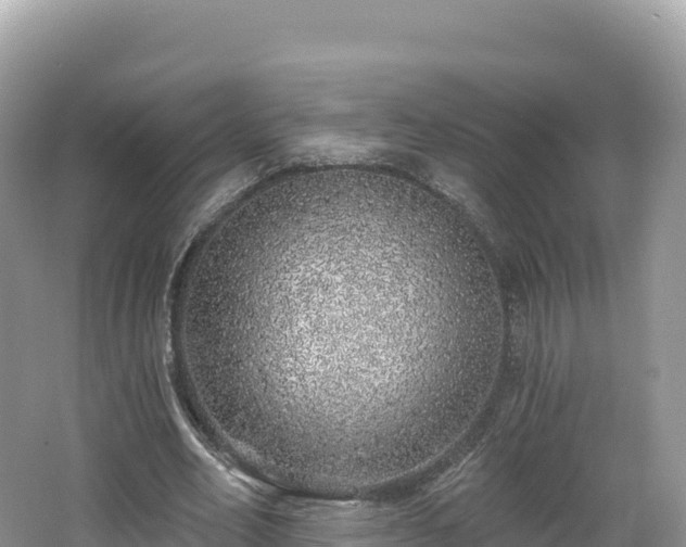 X0000062140582200512121244