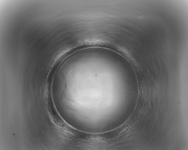 X0000062140583200512121244