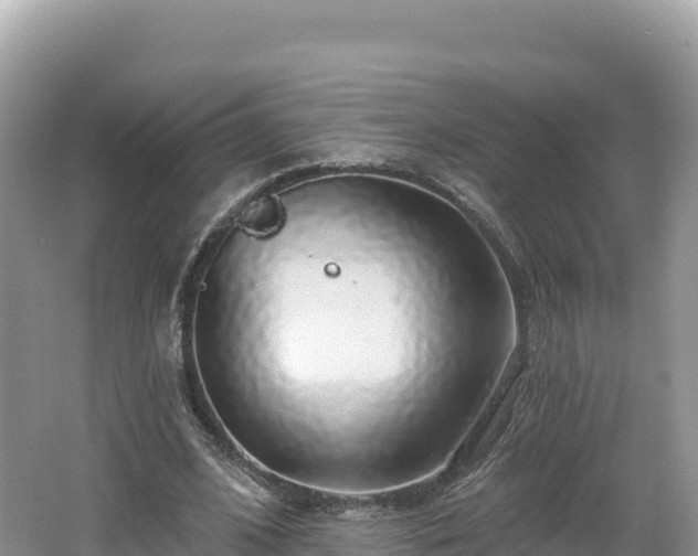 X0000062140584200512121244