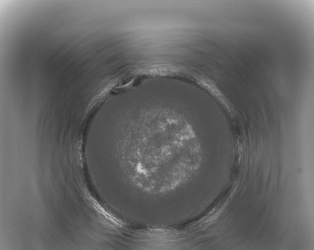 X0000062140585200512121244