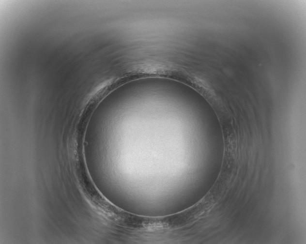 X0000062140587200512121244