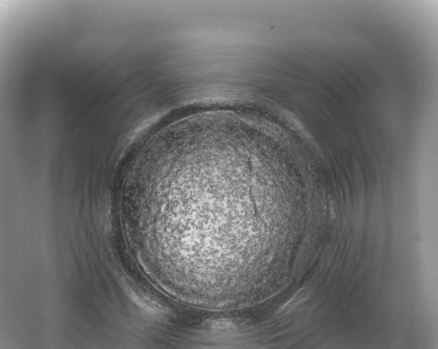 X0000062140588200512121244