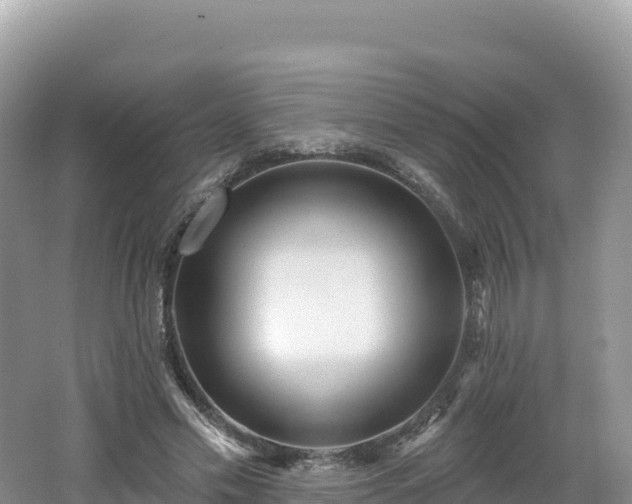 X0000062140589200512121244