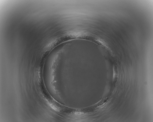 X0000062140590200512121243