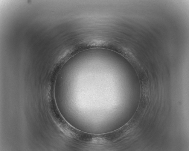 X0000062140591200512121243