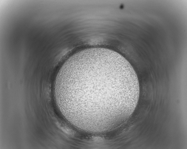 X0000062140592200512121243