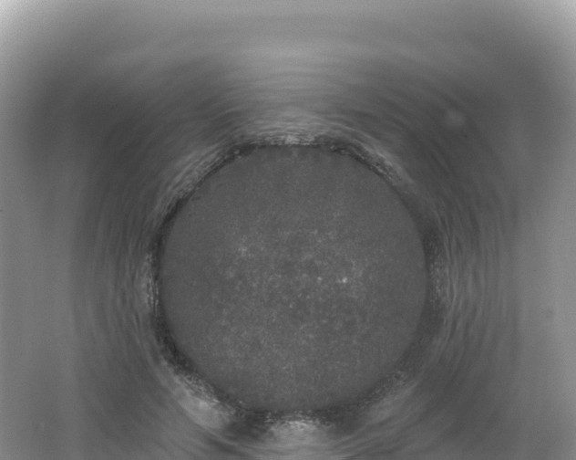 X0000062140594200512121243