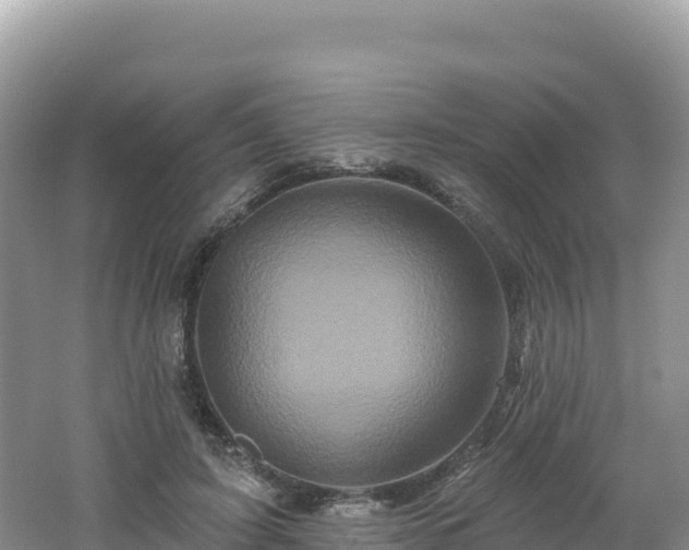 X0000062140595200512121243