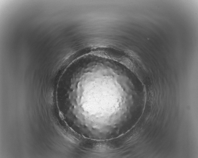 X0000062140596200512121243