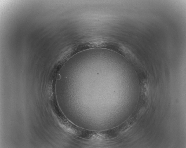 X0000062140599200512121243