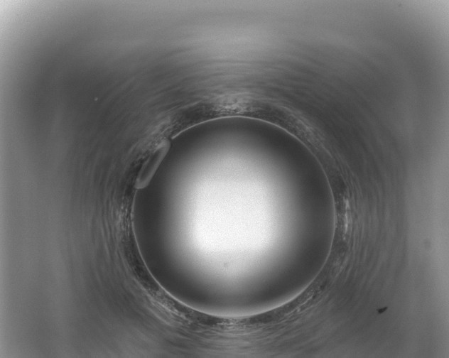 X0000062140601200512121243