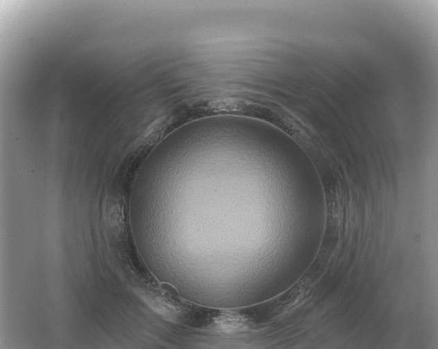 X0000062140603200512121243