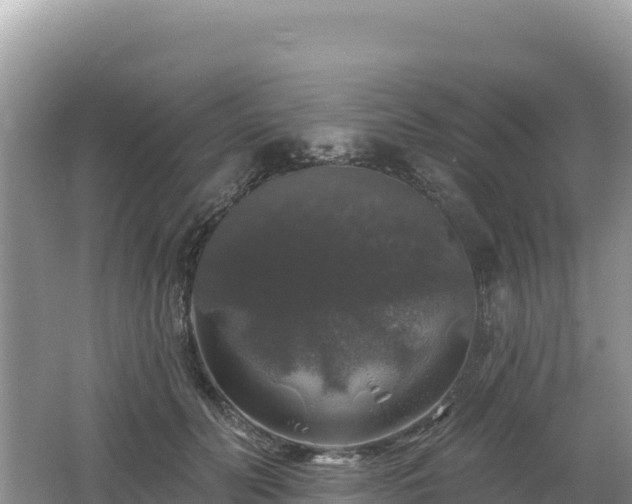 X0000062140606200512121243