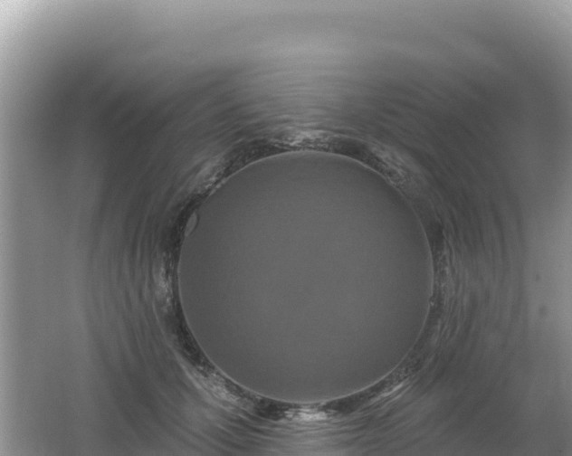 X0000062140607200512121243