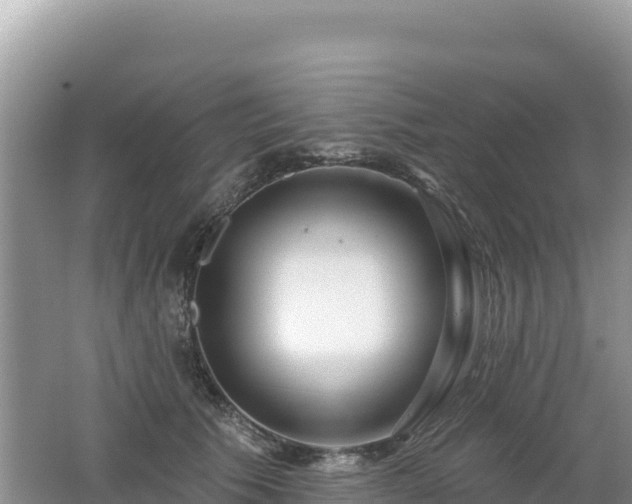 X0000062140609200512121243